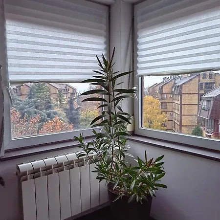 K2 Apartament Zarkovo